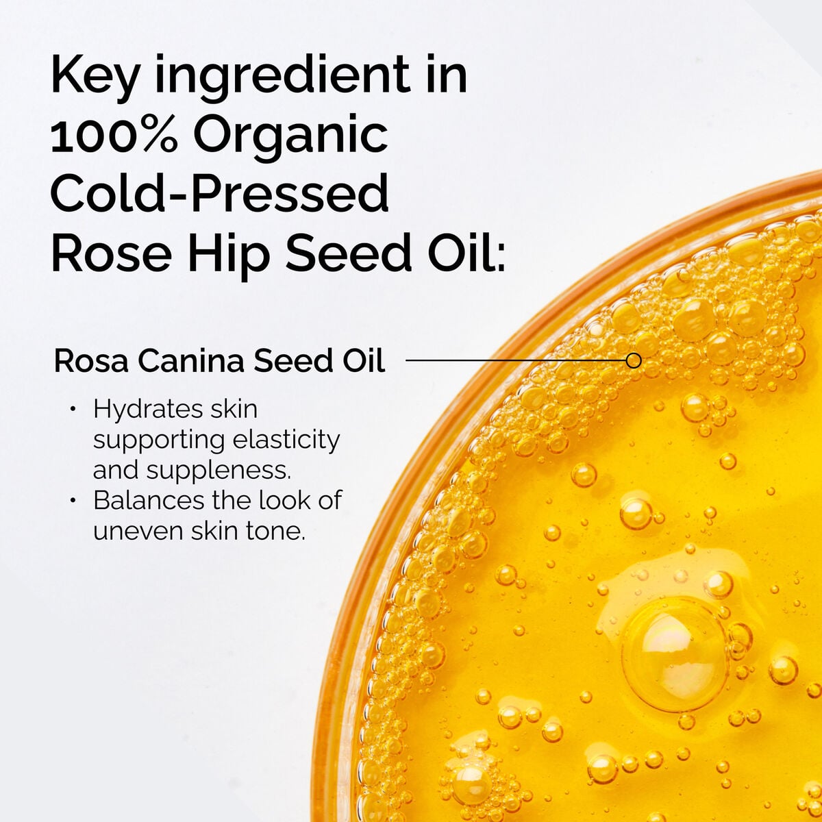 100-organic-cold-pressed-rose-hip-seed-oil-g6 FY25-D41247-ORD-Web-PDP-100-Rose-Hip-Oil-1x1-EN-2.jpg