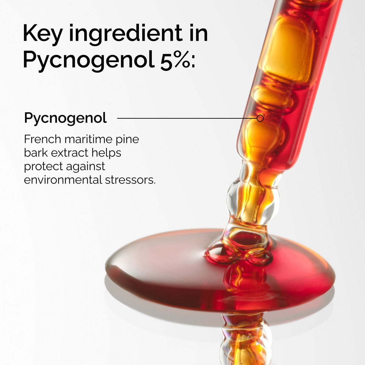 pycnogenol-5-p1 FY25-D41247-ORD-Web-PDP-Pyc-5pct-1x1-EN-2a.jpg