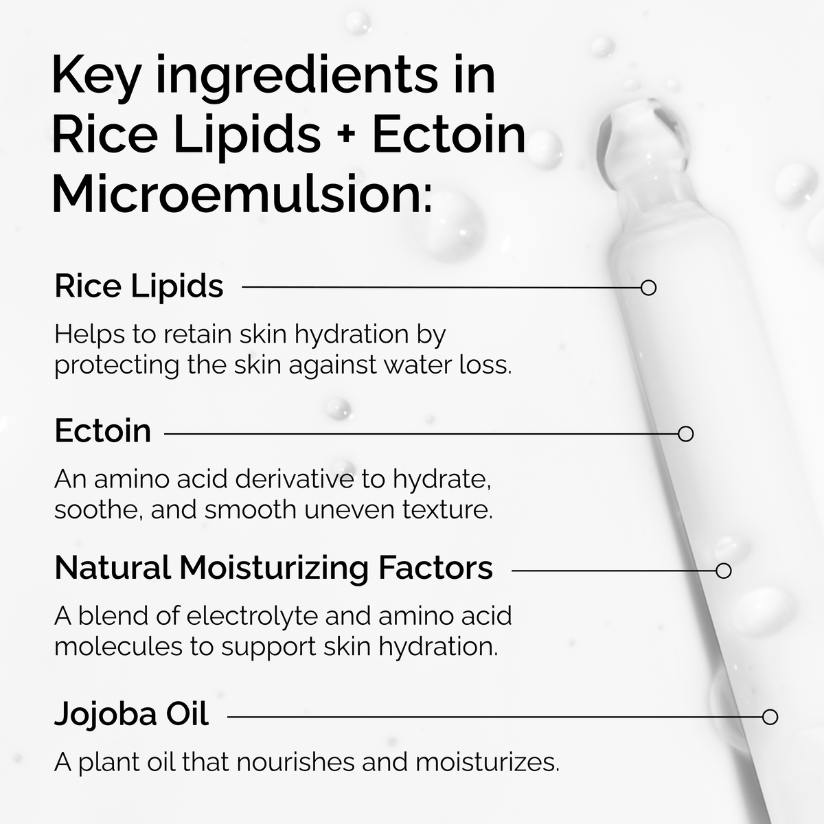 rice-lipids-ectoin-microemulsion-a4 ord-rice-lipids-ectoin-microemulsion-key-ingredients.png