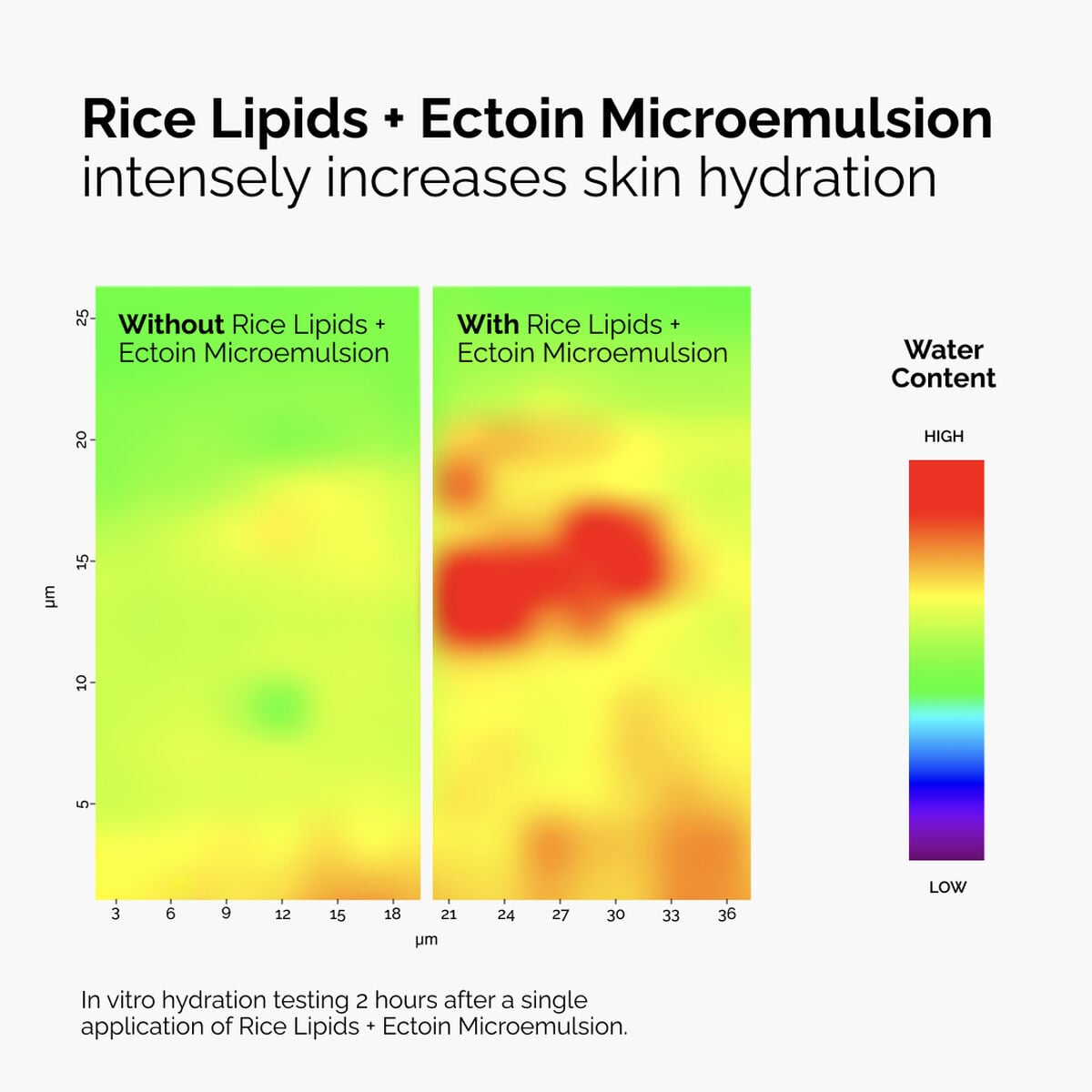 rice-lipids-ectoin-microemulsion-a4 ord-rice-lipids-ectoin-microemulsion-thermal-before-after.jpg